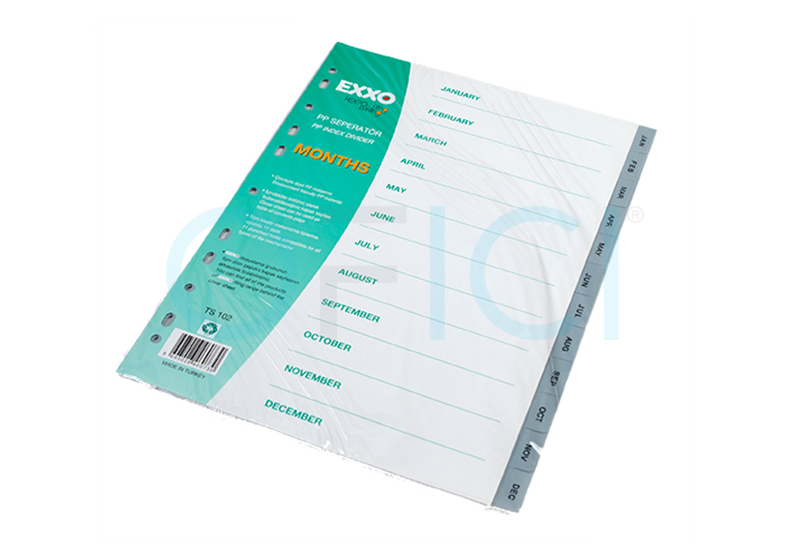Dividers PVC Jan-Dec DJD TS102