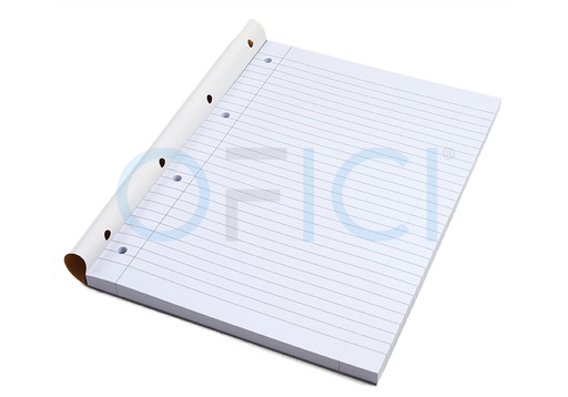 [205846] ESKRIVA File Paper A4 Ruled 4 Hole x 200pgs 205846